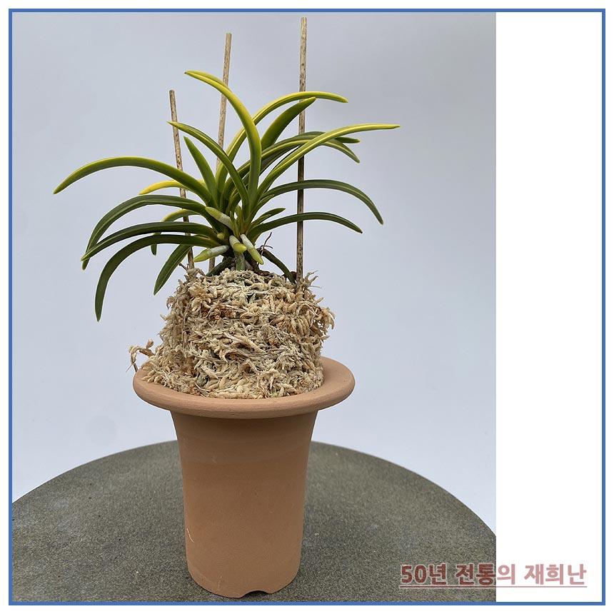 청축부악 250515-01