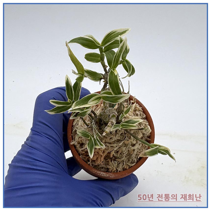 고성환 250915-01