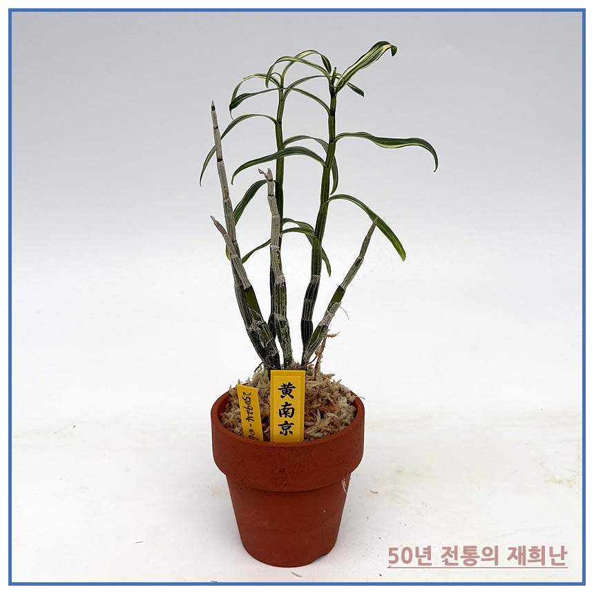 황남경 250924-06