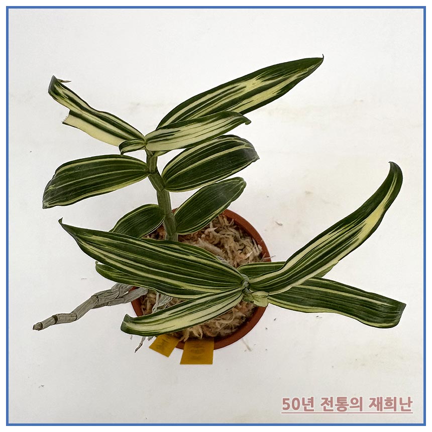 황남경 250924-06