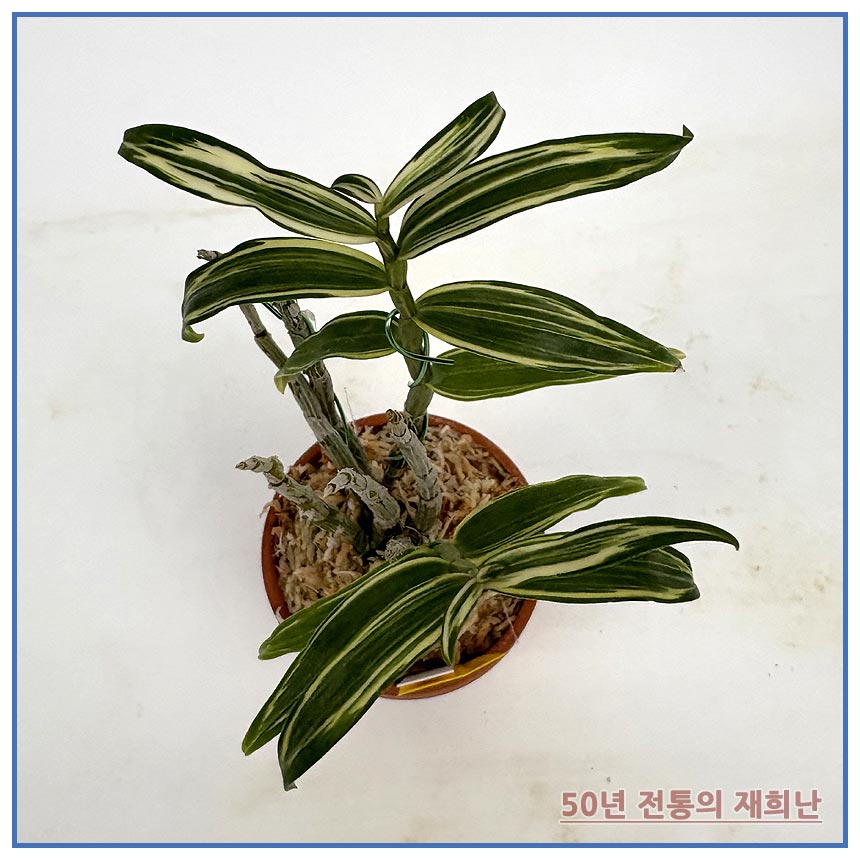 황남경 250924-11