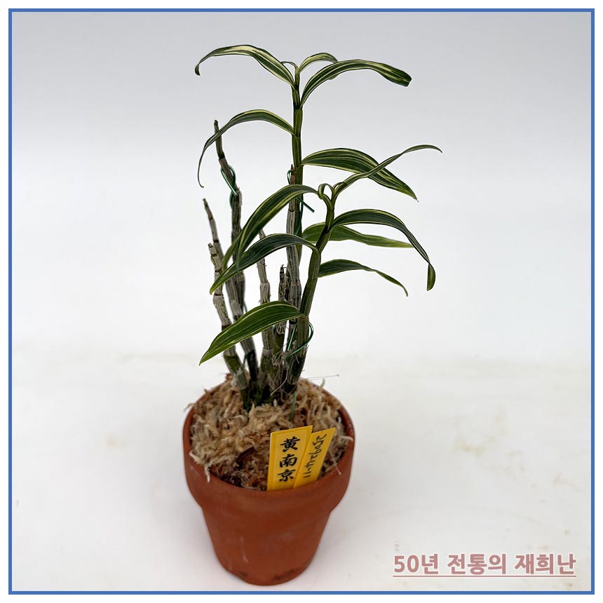 황남경 250924-11