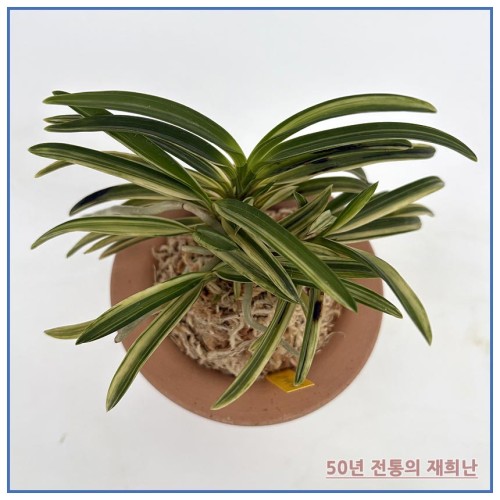 무제 폴더 27