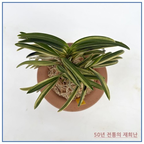 무제 폴더 27