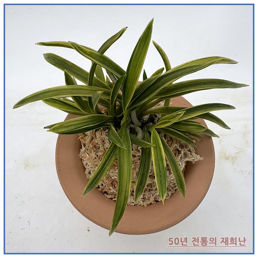 부악 250915-09