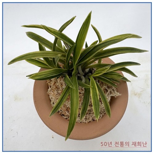 부악 250915-09