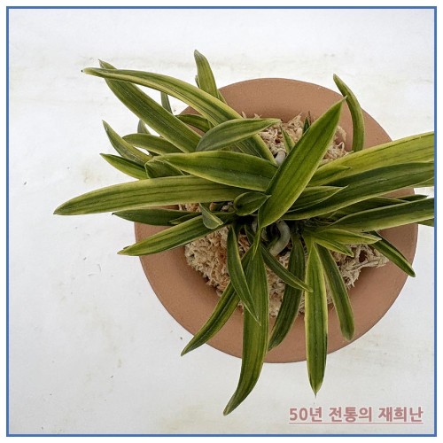 부악 250915-09