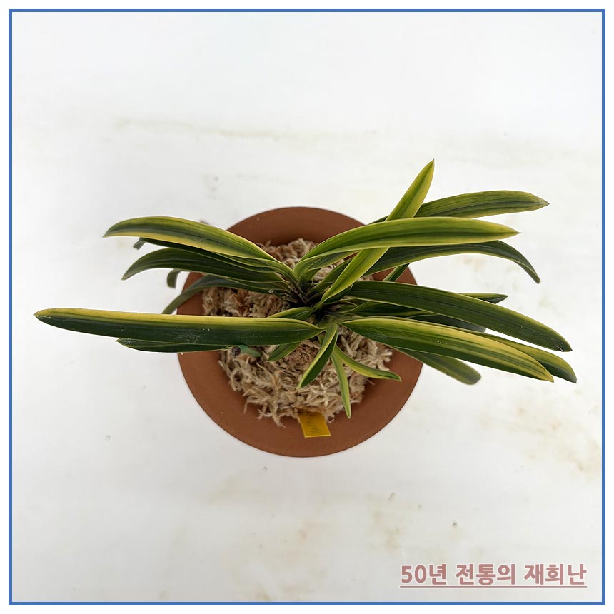 부악 250924-09