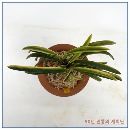 부악 250924-09