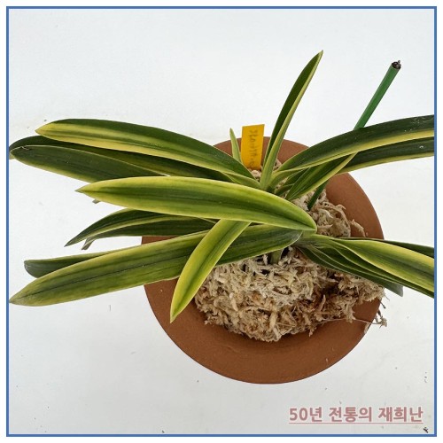 부악 250924-09