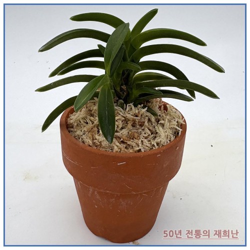 취화전 250915-08