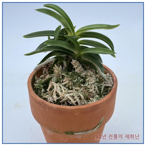 풍명전 250915-05