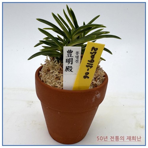 풍명전 250915-06