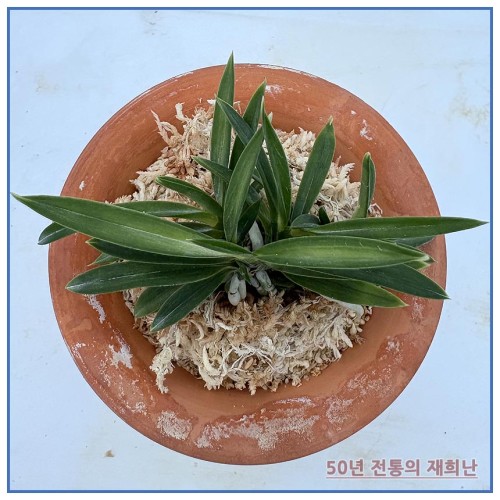 풍명전 250915-17